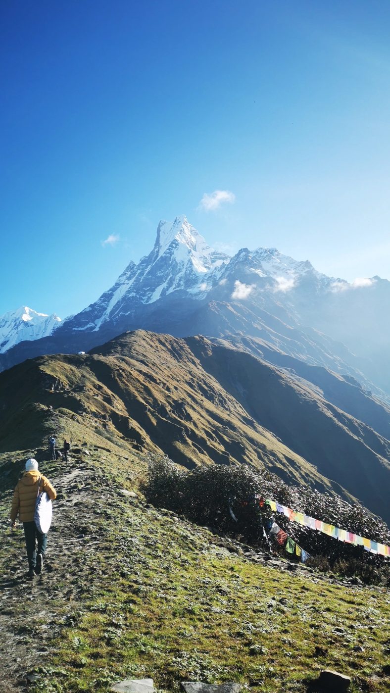 A trekker in a yellow jacket walking along a grassy ridge toward a sharp snow peak, with prayer flags beside the path