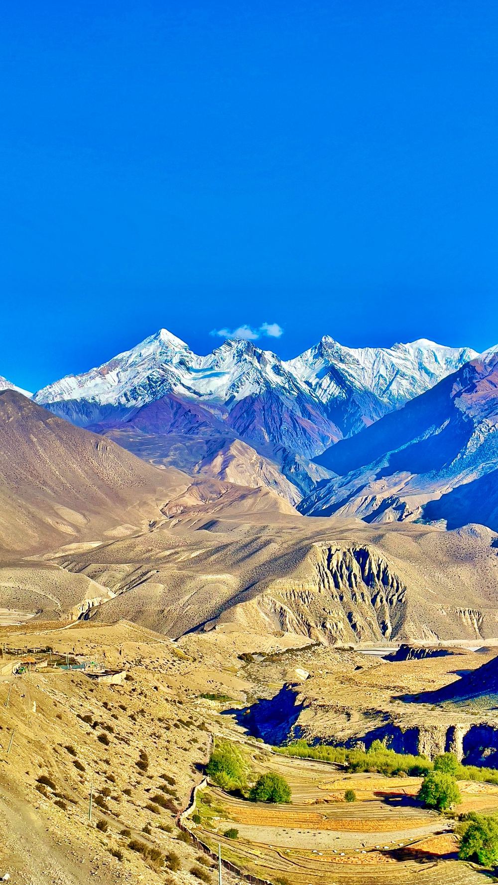 Snow peaks rising above golden brown hills