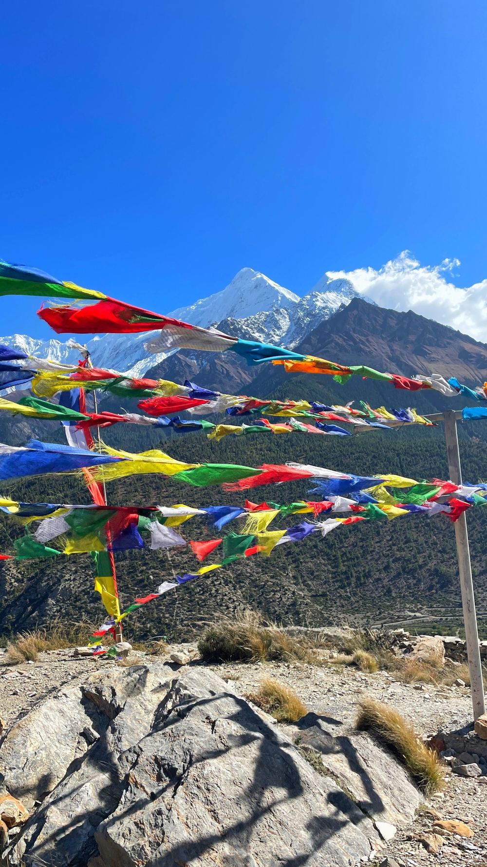 Prayer flags in front of a snow peak under a deep blue sky