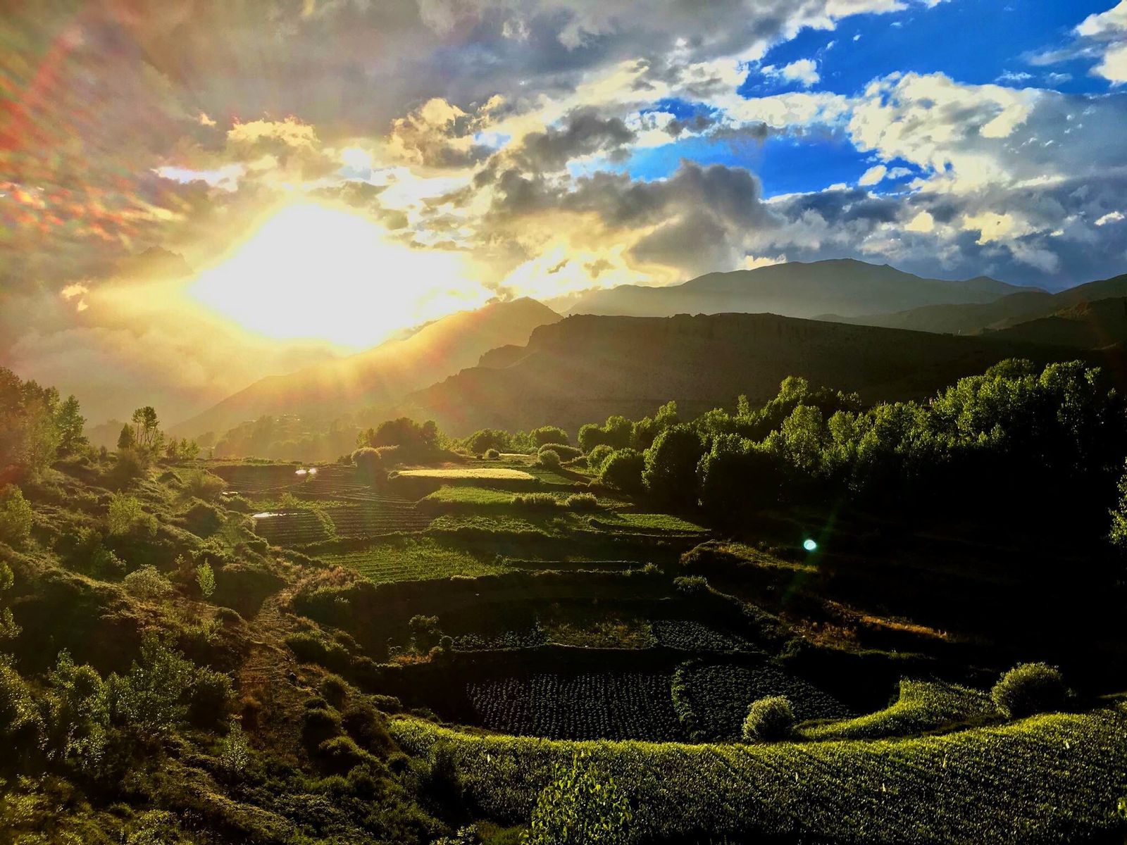 Terraced fields in warm evening sun, with the sun breaking through clouds